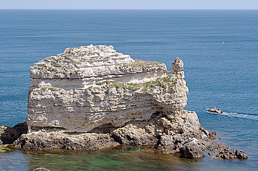 海龟,石头,岬角,靠近,克里米亚,乌克兰,欧洲