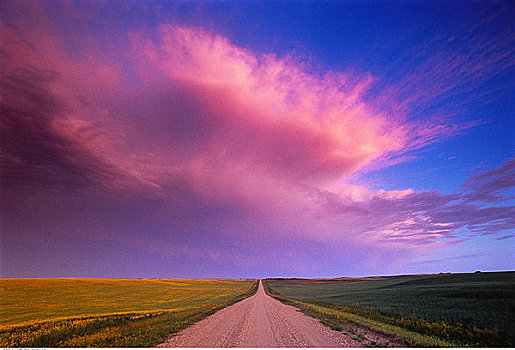 草原,道路,日落,靠近,萨斯喀彻温,加拿大