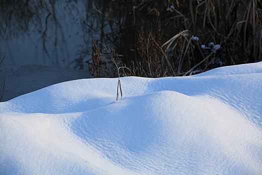 蓝色的雪