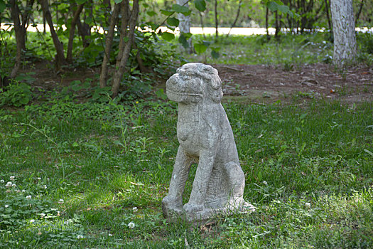 小雁塔,荐福寺,西安博物院