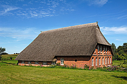 整修,老,茅草屋顶,农舍,梅克伦堡前波莫瑞州,德国,欧洲