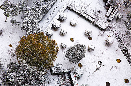 城市雪景