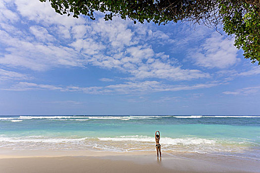 绿色,器具,海滩,巴厘岛,印度尼西亚