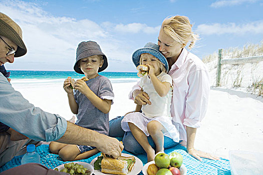 家庭,野餐,海滩