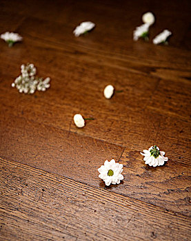 花瓣,木质地板
