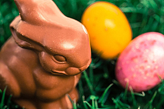 巧克力兔,复活节彩蛋,草