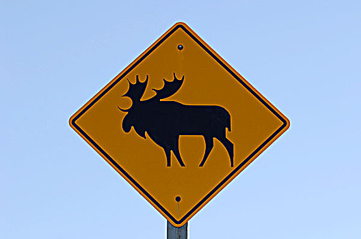 驼鹿,标识,公路,北方,艾伯塔省,加拿大