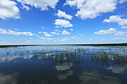 中国最秀美的雁窝岛湿地
