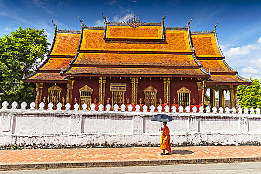 和尚,走,寺院,庙宇,琅勃拉邦,老挝