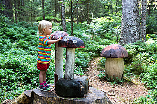 幼儿,雕刻,木质,蘑菇,树林,黑森林,德国,欧洲