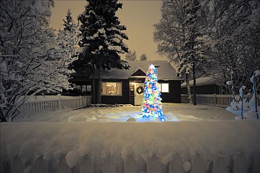 家,积雪,照亮,圣诞树,院子,阿拉斯加