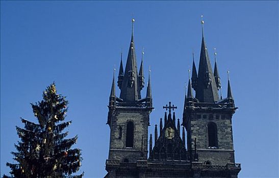 泰恩教堂,旧城广场,老城广场,斯佩尔特小麦,布拉格,捷克共和国,特写,尖顶,圣诞树,支配,华美