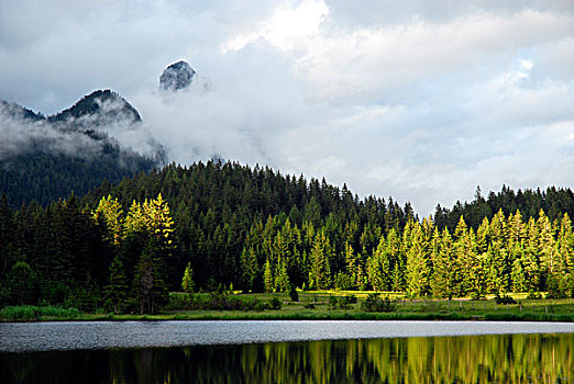 湖,自然,保存,区域,风景,萨尔茨卡莫古特,施蒂里亚,阿尔卑斯山,奥地利,欧洲