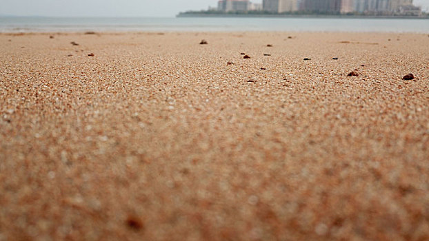 沙滩的石头