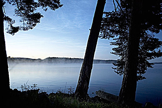 薄雾,上方,湖,瑞典