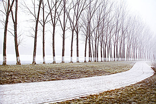 雪景