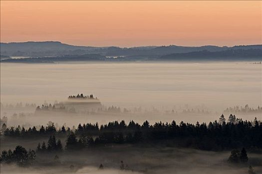 风景,薄雾,巴伐利亚,上巴伐利亚,德国,欧洲