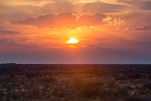 风景,卡拉哈里沙漠,博茨瓦纳,非洲