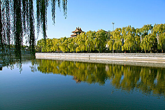 紫禁城的护城河倒映着成排的绿树和角楼