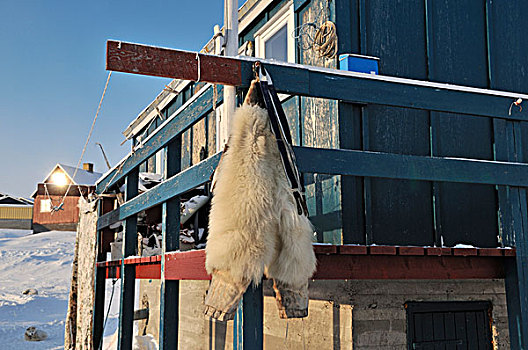 裤子,北极熊,外套,弄干,正面,因纽特人,房子,迪斯科,岛屿,格陵兰,北极,北美