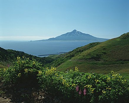 山,林道