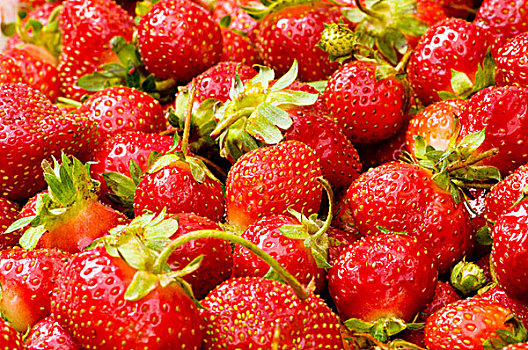 许多,草莓,放置,背景