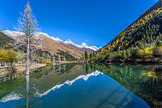 双桥沟四姑娘山