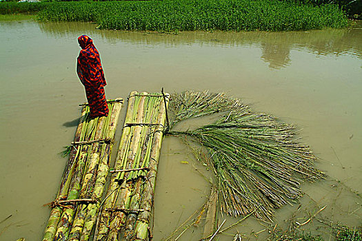 女人,筏子,香蕉树,许多人,无家可归,区域,卧,洪水,孟加拉,七月,2004年