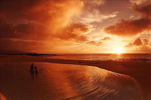 夏威夷,瓦胡岛,北岸,剪影,人,游泳,海滩,潮汐池,靠近,海洋,日落