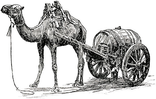 骆驼,水,手推车,阿拉伯,古典,公文包,原始,世界,铁路,插画