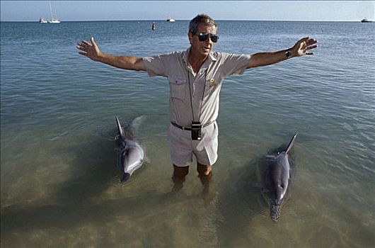 宽吻海豚,互动,游客,澳大利亚
