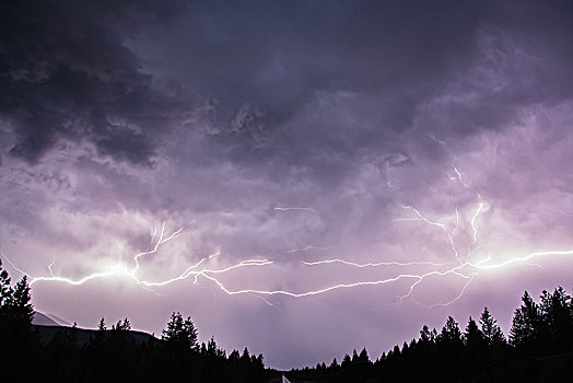 闪电,天空,上方,加拿大,落基山脉,库特尼,区域,不列颠哥伦比亚省