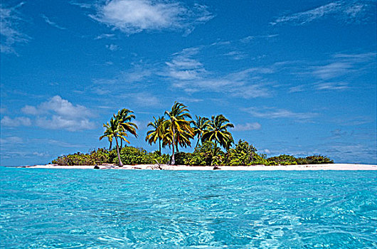 小,岛屿,青绿色,泻湖,棕榈树,马尔代夫,印度洋,亚洲