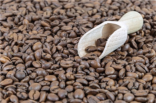 咖啡豆,木质,铲