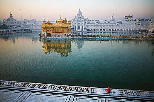 印度,金庙,庙宇,反射,水中