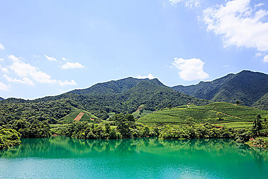 清晰,湖,围绕,山