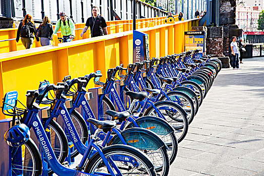 自行车,分享,墨尔本,市中心,澳大利亚