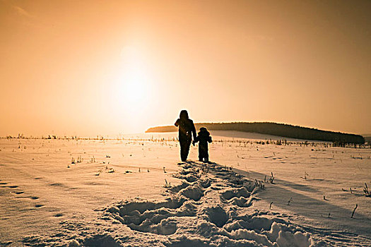 后视图,男人,儿子,走,雪中,遮盖,风景,日落,乡村,俄罗斯