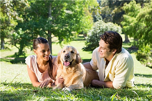 幸福伴侣,狗,公园