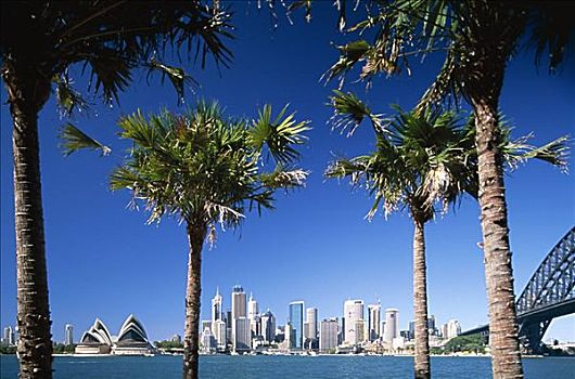 悉尼歌剧院,城市天际线,悉尼,新南威尔士,澳大利亚