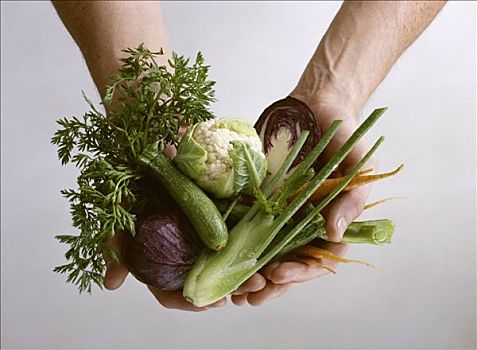 手,拿着,新鲜,嫩蔬菜