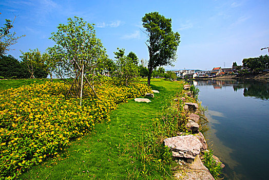 河道,草地,树木,护岸,花