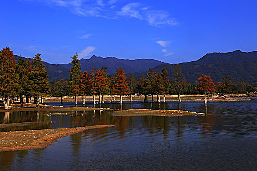 安徽,宏村,古村,古石林,祠堂,奇墅湖,花海