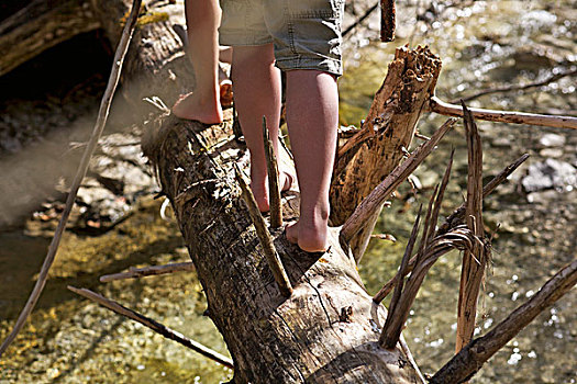 脚,女孩,平衡性,树干