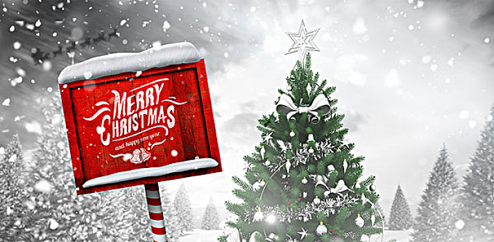 合成效果,图像,圣诞快乐,信息,圣诞树,雪,树林