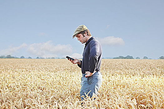 农民,手机,电话,作物,地点