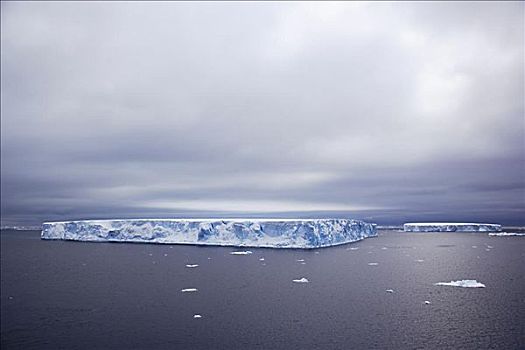 冰山,雪丘岛,南极