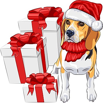 矢量,狗,小猎犬,帽子,圣诞老人,圣诞礼物