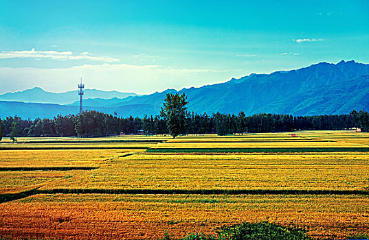 秦岭山下的田园风光