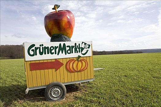 标识,绿色,市场,农场,蔬菜,水果,销售,北莱茵威斯特伐利亚,德国